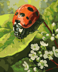 Thumbnail for Tiny Explorer, Big World - Paint By Numbers 