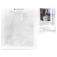 Thumbnail for Paint By Numbers with your own picture 
