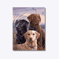 Thumbnail for Dogs 30x40cm - Diamond Painting 