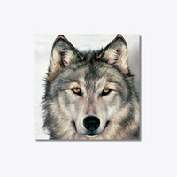 Thumbnail for Alpha Wolf 20x20cm - Diamond Painting 