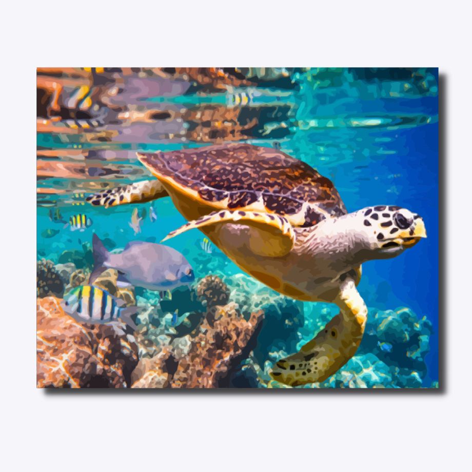 Aquatic Adventures - Paint By Numbers 